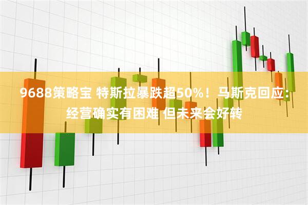 9688策略宝 特斯拉暴跌超50%！马斯克回应：经营确实有困难 但未来会好转