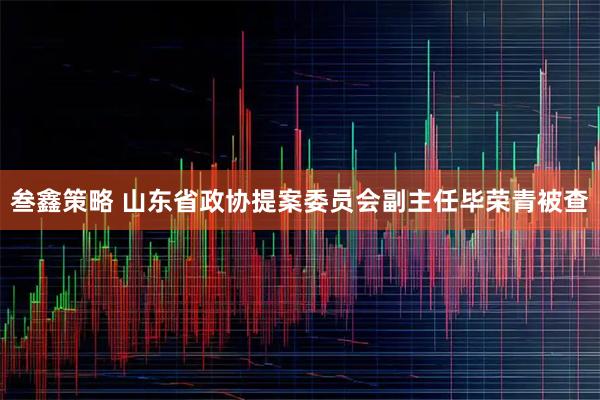 叁鑫策略 山东省政协提案委员会副主任毕荣青被查