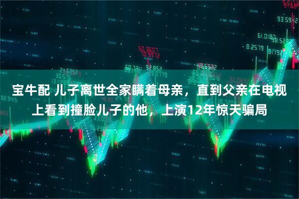宝牛配 儿子离世全家瞒着母亲，直到父亲在电视上看到撞脸儿子的他，上演12年惊天骗局