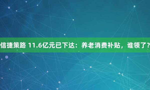 信捷策路 11.6亿元已下达：养老消费补贴，谁领了？
