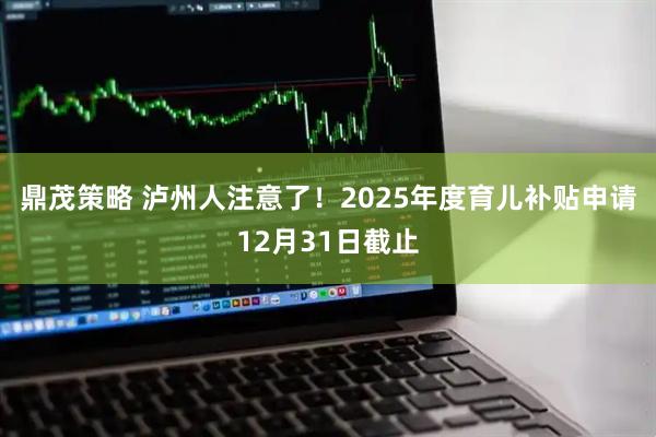 鼎茂策略 泸州人注意了!2025年度育儿补贴申请12月31日截止